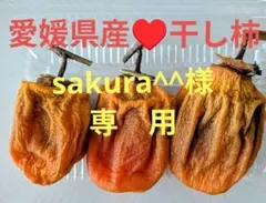 愛媛県産♥干し柿（愛宕柿）