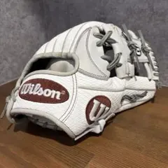 Item thumbnail for item 55fc7c65-68b7-458d-b712-c998d962f236