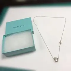 13202 Tiffany & Co. シルバーペンダントネックレス