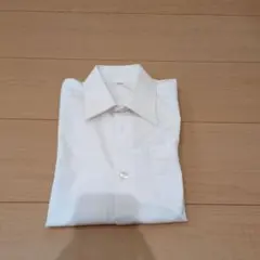 Item thumbnail for item f268361a-11fa-4da8-bb45-6d598ec2aa27