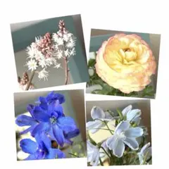 しぃ(⁠*⁠˘⁠︶⁠˘⁠*⁠)⁠.*⁠♡様　リクエスト　おまとめ4点