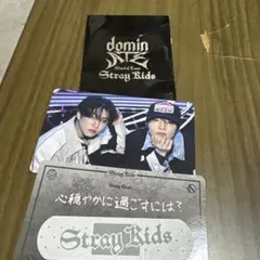 Stray Kids ワールドツアーカード