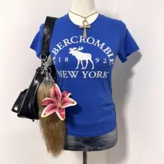 Abercrombie & Fitch Tシャツ ピチ Y2K 平成 ギャルのサムネイル