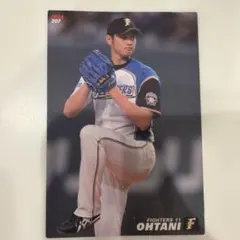 大谷翔平 2014 プロ野球チップスカード２枚セット 大谷翔平 2014 カルビー プロ野球チップス カード 122 - メルカリ