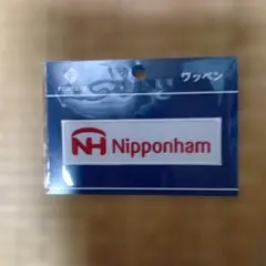 日本ハムファイターズポケモンコラボ ワッペン 達孝太 新品未開封