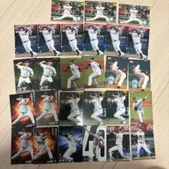 プロ野球チップス　埼玉西武ライオンズ