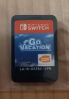 Go Vacation Nintendo Switch ソフトのみ　バケーション