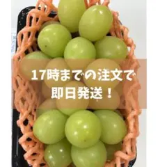 早出し希少【岡山県産】ハウス栽培高級シャインマスカット 大粒 5kg 7