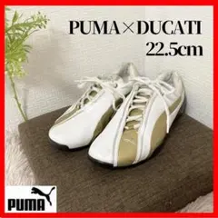 2026年最新】ducati pumaの人気アイテム - メルカリ