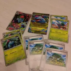 メガフシギバナex活力の森