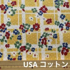 USA コットン　シーチング　モダファブリックス　サーティーズ　レア