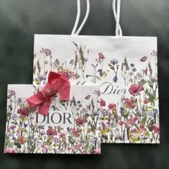 Dior ショッパー　紙袋　2点セット