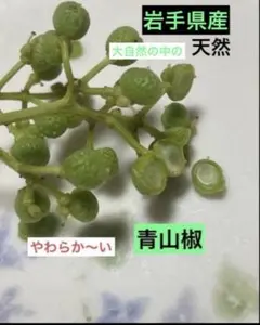 3976●Ｂ級100g④冷蔵便送込 花山椒＋木の芽[20260418] 2026年最新】花山椒 100gの人気アイテム - メルカリ