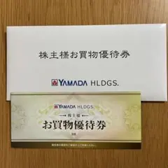 【匿名配送】ヤマダホールディングス株主優待券3000円分