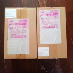 新品未開封 スペシャルBOX ヒロシマ フクオカ ポケセン産 2点セット
