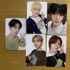 txt FREEFALL 5枚セット