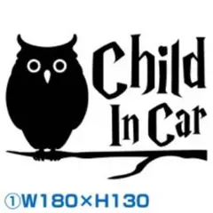 カッティングステッカーハリーポッターハリポタキッズインカーチャイルドインカー