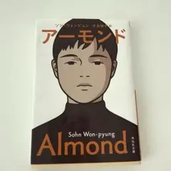 アーモンド ゾン・ウォンビョン著　文庫本　話題　本　人気