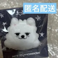 2026年最新】txt プルバトゥ ヨンモンの人気アイテム - メルカリ