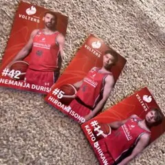 熊本ヴォルターズ