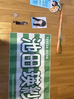乃木坂46 池田瑛紗 SUMMER TOUR 2025 グッズセットのサムネイル