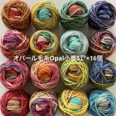 オパール毛糸Opal小巻5㌘×16個