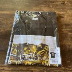 阪神タイガース セ・リーグ優勝 Tシャツ