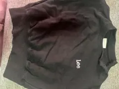 lee