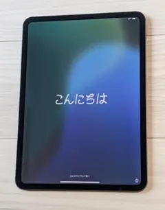 iPad Pro 第5世代 M4 11インチ 256GB Wifi