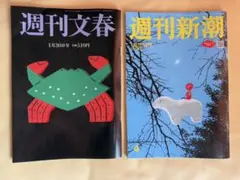 Item thumbnail for item 42e81f7d-b5d1-40a4-bf81-5c346723e66b