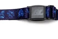 Item thumbnail for item be4b4702-7c5d-4142-9157-187d2f8cb523