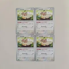 ポケモンカード　カモネギ　でたとこせおい Pokémon Cardのサムネイル