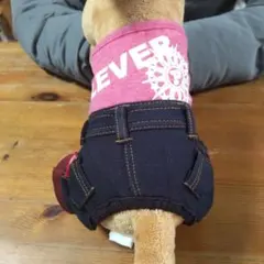 Item thumbnail for item 8aafc237-ae6d-4498-9119-1299195088ea