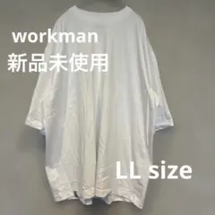 新品未使用　無地 半袖 Tシャツ ホワイト レディース トップス　ウィメンズのサムネイル