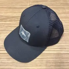 patagonia Fly The Flag フライングフィッシュのサムネイル