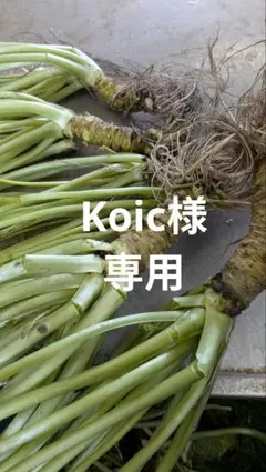 Koic様専用のサムネイル