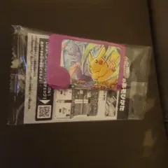 ポケモン フレンダ　スペシャル ピカチュウ