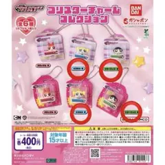 パワーパフガールズ　ブリスター　ガチャガチャ