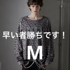 〈希少〉GRANCY ロンT Mサイズ 完売品 GRANCY】LinestoneDesign Graphic Damage LongTee / ライン