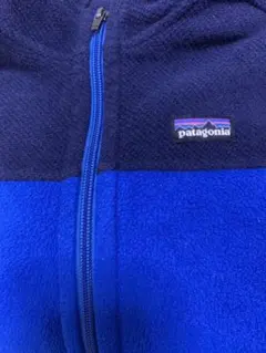 patagonia パタゴニア フリース ボーイズLサイズ