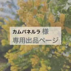 Item thumbnail for item 975215c7-71b6-4dbf-9e8e-2d5b79a43d1f