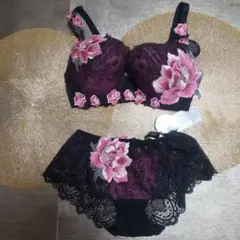 Wacoal　ワコール　サルート　68G　IV　夕陽の余韻　店舗限定 Wacoal/ワコール/salute/サルート/店舗限定/68G/夕陽の余韻