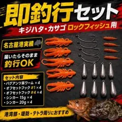 【即釣行】カサゴ キジハタ 根魚 ワームセット バグアンツ オフセットフックのサムネイル