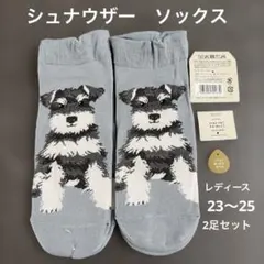 Item thumbnail for item 09bc1f13-a34c-4bf1-a163-6738db07a8f4