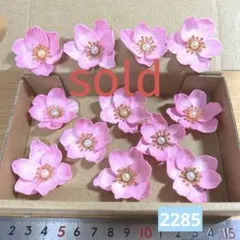 ソラフラワー　2285