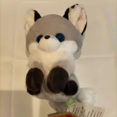 アミューズ ぬいぐるみ キツネ　ちょコンキツネ