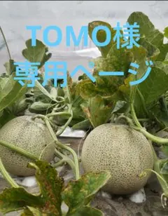 TOMO様専用ページです