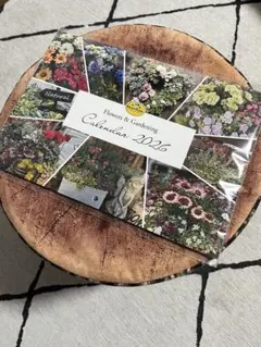 Item thumbnail for item 1d1dae0e-aab4-46a2-9583-3037eff8b2a5