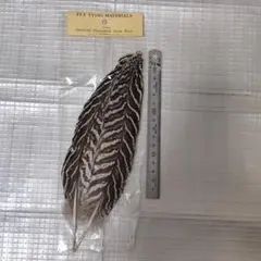 Item thumbnail for item 1e5ac423-47ac-4434-9f5d-cb559d114818