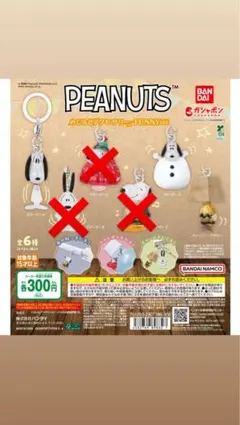 PEANUTS めじるしアクセサリー
